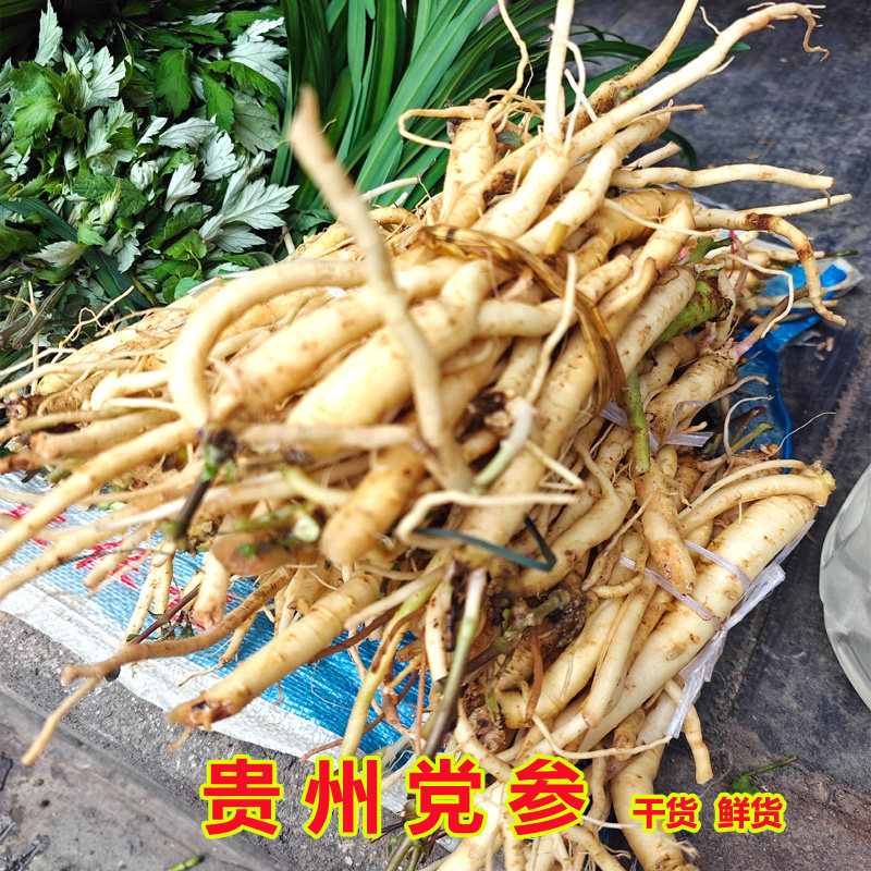 农家山货贵州新鲜党参中药材现挖山党参炖肉煲汤农村狮头党参包邮