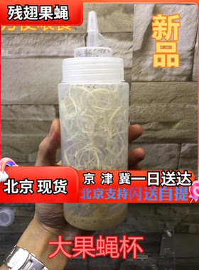 北京无菌高蛋白果蝇杯活体饲料大小残翅树蛙螳螂蜘蛛活体饲料包邮