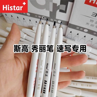 斯高秀丽笔艺考速写极细小楷中楷中灰色速干美术书法勾线笔练字笔