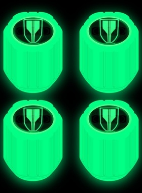 红旗HS5夜光气门嘴H5H7H9 HS7 EQM5 EHS3 EHS9汽车轮胎气嘴帽装饰