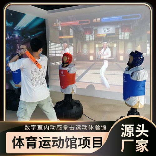网红拳击机动感拳击拳力测试拳击宣泄机器室内装备沙袋训练不倒翁