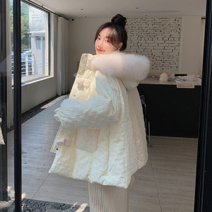【主推大货】提供 羊羔毛扣羽绒服 262A-W801-P255-K378图片