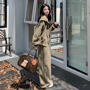 運(yùn)動(dòng)休閑連帽衛(wèi)衣女2024秋季新款韓系設(shè)計(jì)感寬松闊腿褲圖片