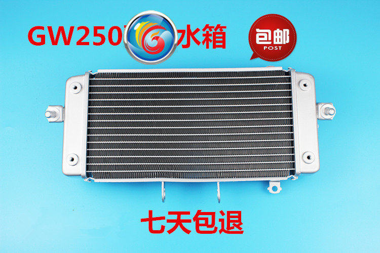 适用铃木骊驰GW250 GW250S/F摩托发动机水箱散热器水冷器冷却白色
