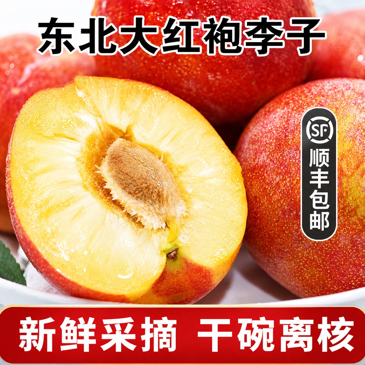 （顺丰包邮）东北大红袍李子特大李子