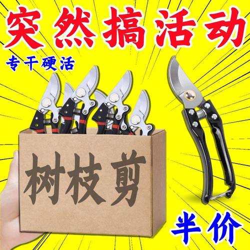 德国进口SK5强力园艺剪不锈钢省力修剪枝果树粗枝树枝专用剪子