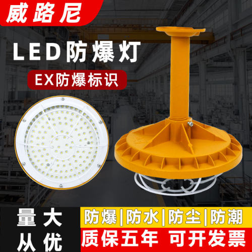 国标led防爆灯 工业厂房隔爆型灯罩仓库车间防尘加油站专用照明灯