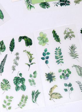 6张绿色树叶贴画清新感学生手账相册礼品装饰和纸粘贴纸女孩手工