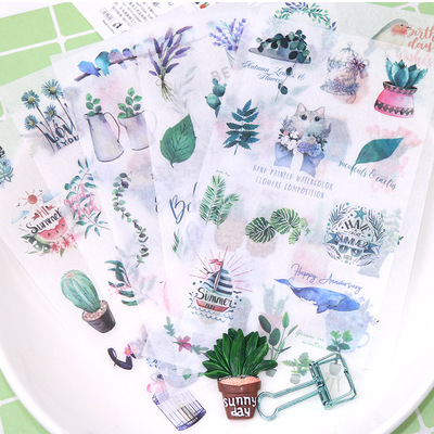 6张装绿色植物贴纸栩栩仙人掌diy