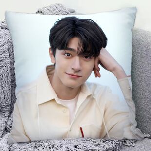 林一周边抱枕女生来图定制枕头学生宿舍靠垫创意应援物闺蜜礼物