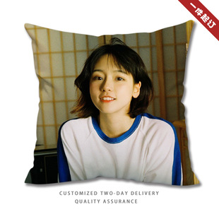 诸葛大力成果爱情公寓5狗哥抱枕头靠垫子海报明星周边来图定制做