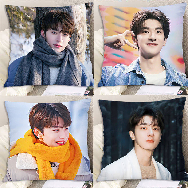 林一抱枕明星周边双面靠垫定制闺蜜同学礼物房间床头靠枕头可爱,模玩/动漫/周边/娃圈三坑/桌游,动漫毛绒/抱枕/坐垫,淘宝优惠券,粉丝福利购,淘宝优惠卷