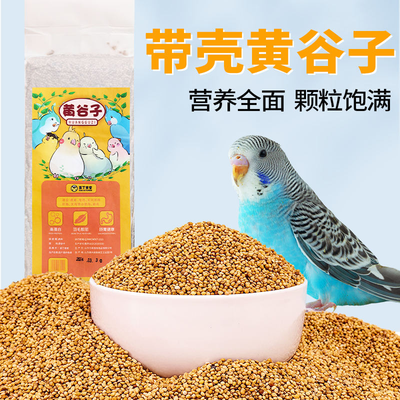 宠物粮下单可享优惠鹦鹉鸟粮
