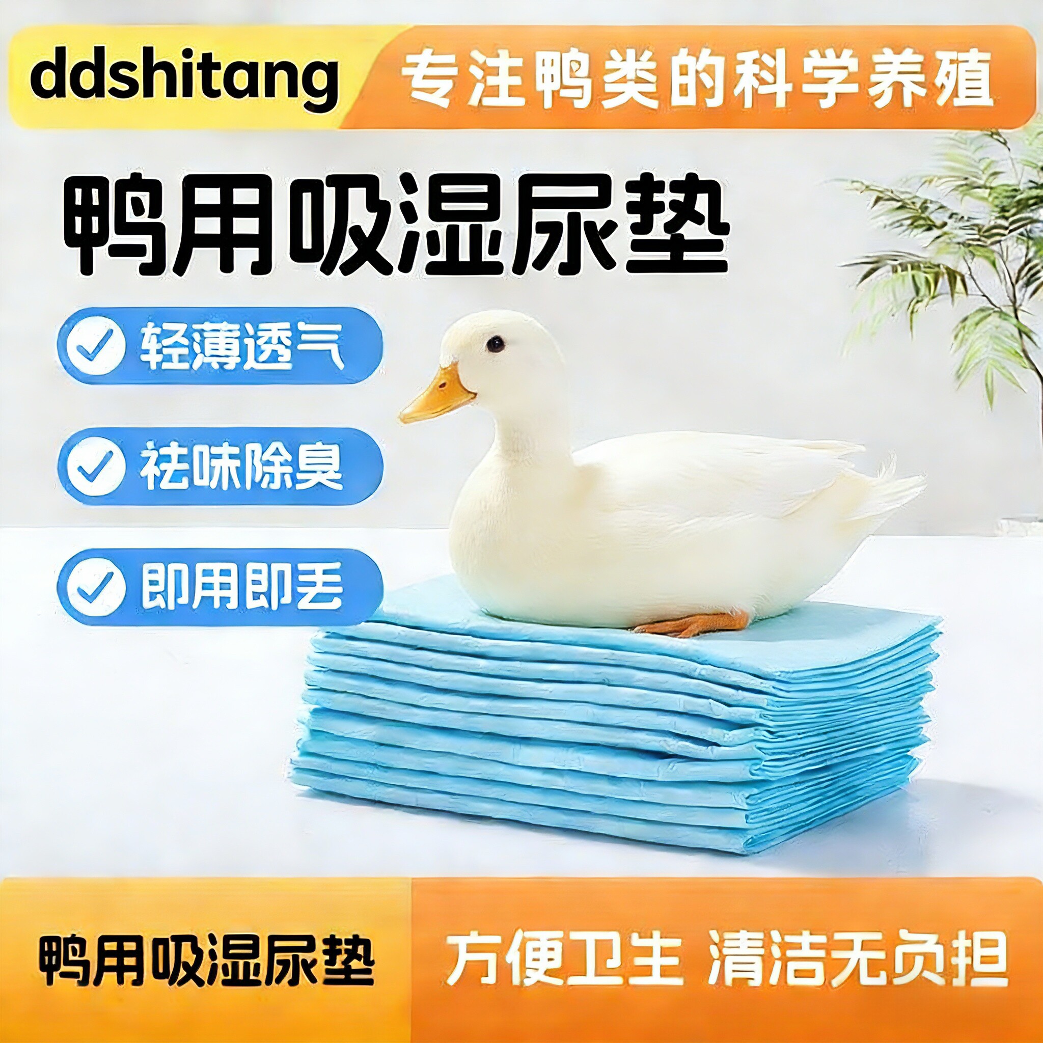 柯尔鸭蜜袋鼯仓鼠除臭花枝鼠刺猬鹦鹉厕所芦丁鸡速吸宠物隔尿垫