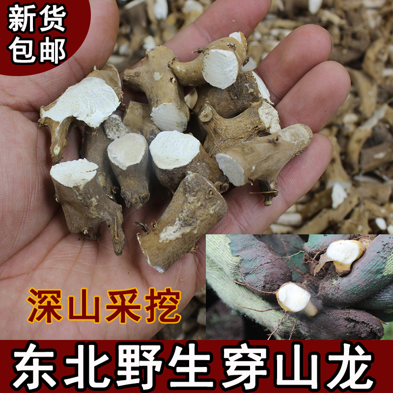 正品东北野生穿山龙500g包邮草药穿地龙片地穿川龙骨药材段中药材