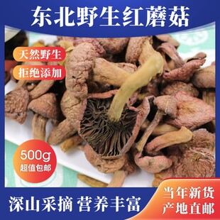 东北红蘑野生红蘑菇干货肉蘑松蘑松伞蘑菇松树伞红松伞蘑菇丁500g