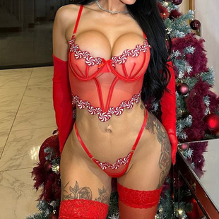 Sexy lingerie bra corset body shaper home clothes set内衣