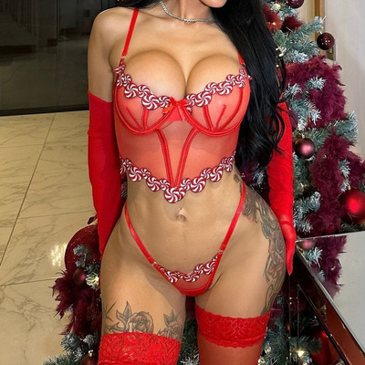 Sexy lingerie bra corset body shaper home clothes set内衣