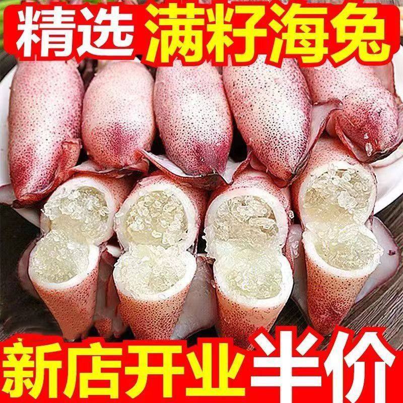 顺丰4斤满籽海兔子新鲜大号真籽海兔鲜活冷冻带籽笔管鱼籽乌鱿鱼