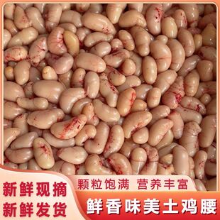顺丰2斤土鸡腰特大号新鲜鸡腰子公鸡肾鸡春农家散养鸡卵子鸡睾丸