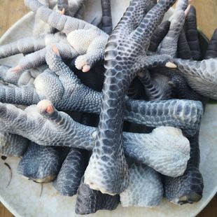 【坏了包赔】4斤散养新鲜黑鸡爪大鸡爪乌鸡爪带骨黑鸡脚土鸡爪