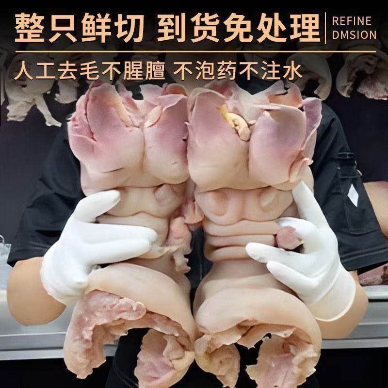 新鲜5斤正宗去骨牛蹄皮八成熟国产黄牛红烧冷冻牛蹄筋汤去骨带筋