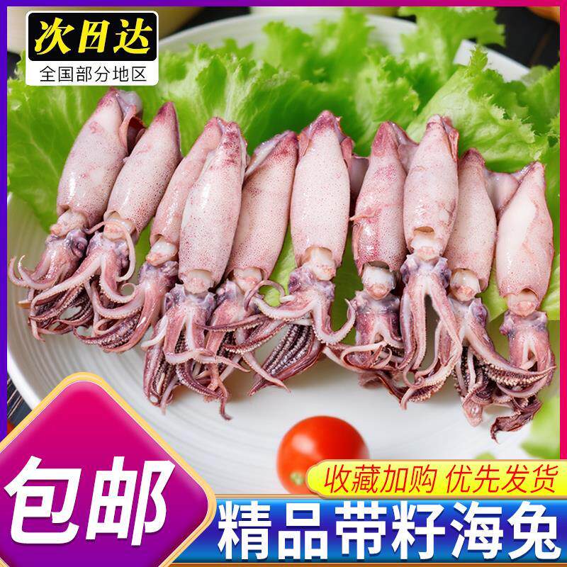 顺丰5斤新鲜海兔子满籽大小墨鱼仔冷冻笔管鱼全籽乌贼八爪鱼鱿鱼