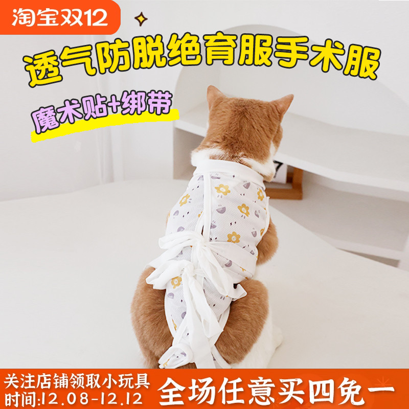 猫咪绝育服防舔术后公猫母猫手术