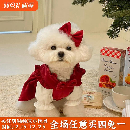 圣诞红裙宠物可爱两件套