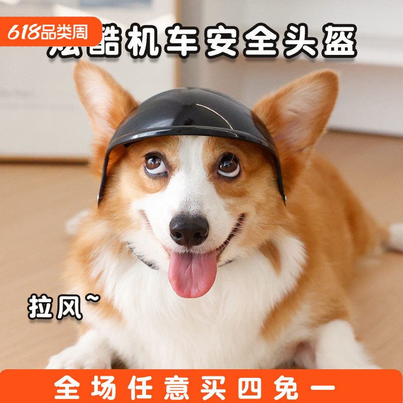 狗狗头盔漏耳朵柯基比熊猫咪坐车安全帽摩托车机车防风护目镜外出