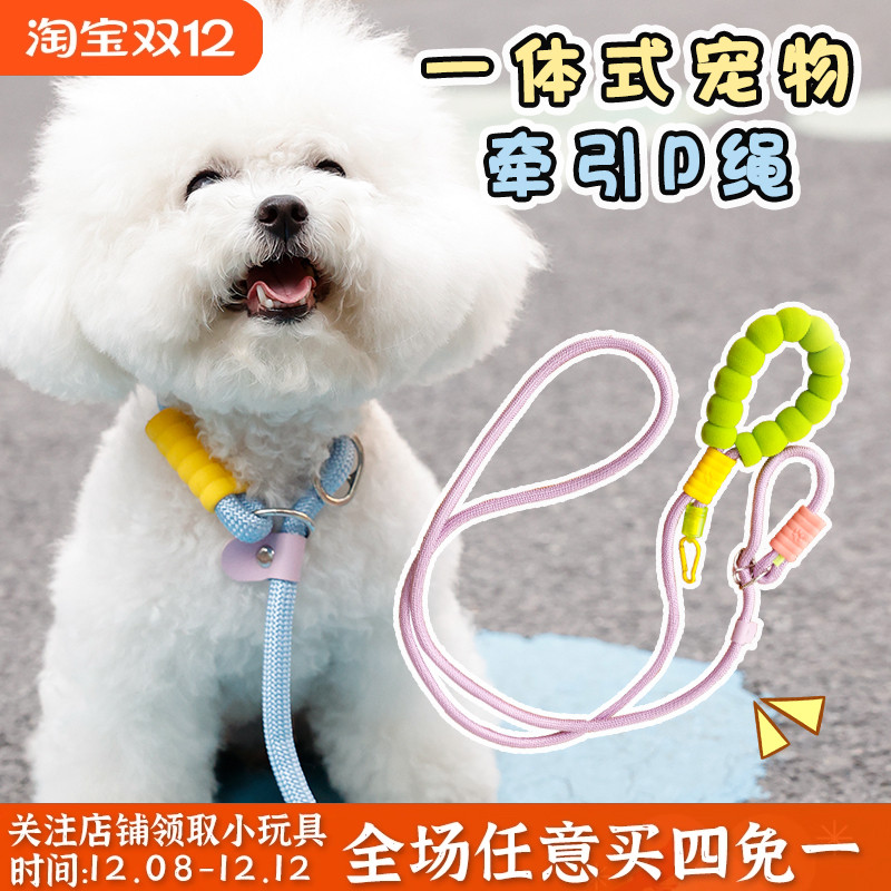 【Ins风】P绳溜狗训犬牵引绳