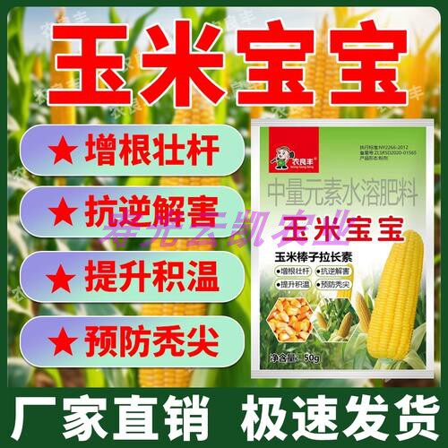玉米宝宝叶面促根抗倒伏壮苗图片