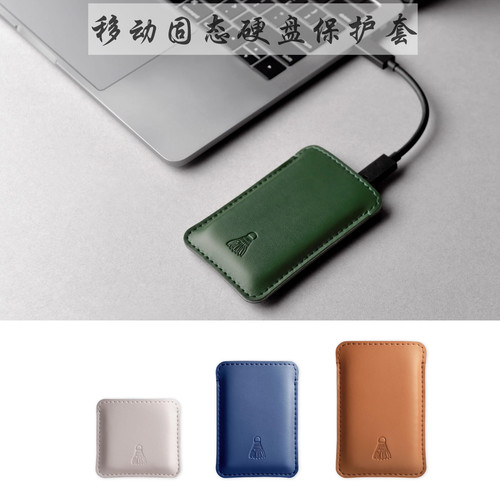 雷克沙SL210SL500固态硬盘收纳包