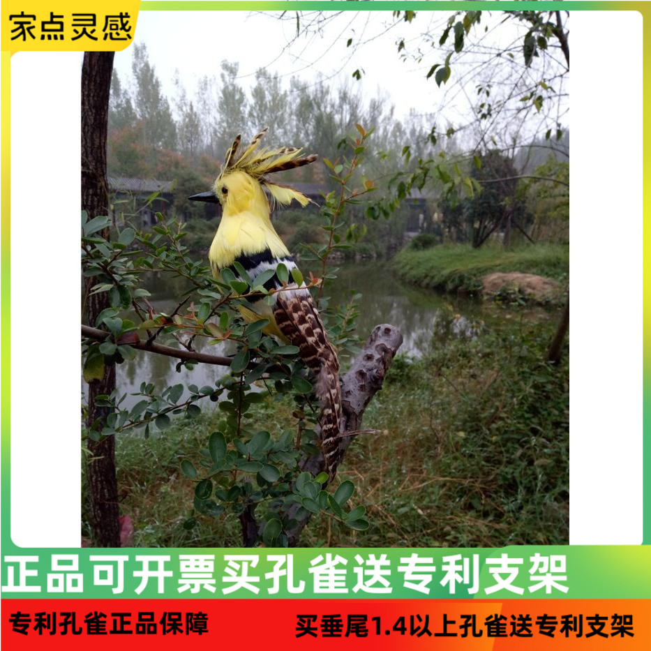 仿真鸟类橱窗摆件教学动物标本