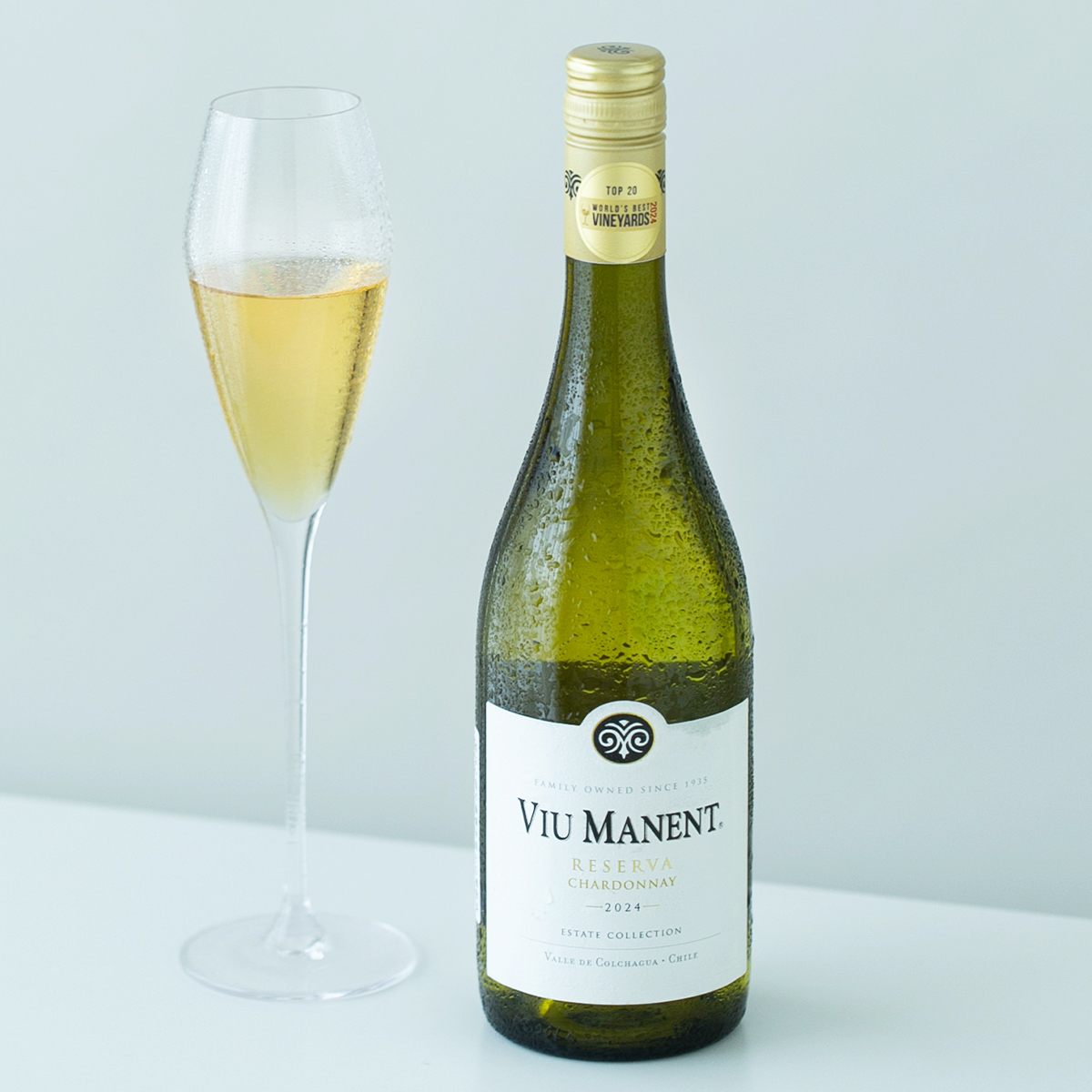 智利十八罗汉中央山谷空加瓜山谷威玛庄园珍藏霞多丽干白葡萄酒