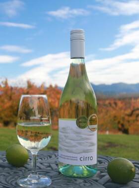 双金奖 清爽百香果 新西兰马尔堡cirro卷云长相思干白葡萄酒 2023