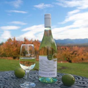 2023 新西兰马尔堡cirro卷云长相思干白葡萄酒 双金奖 清爽百香果