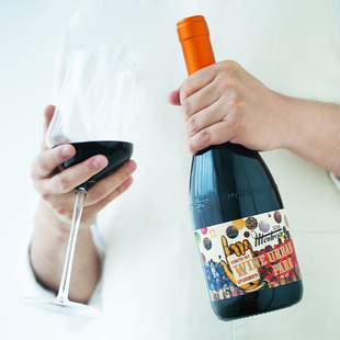 醇鉴银奖 小阿玛罗尼红酒浓郁 意大利威尼托城市公园风干红葡萄酒