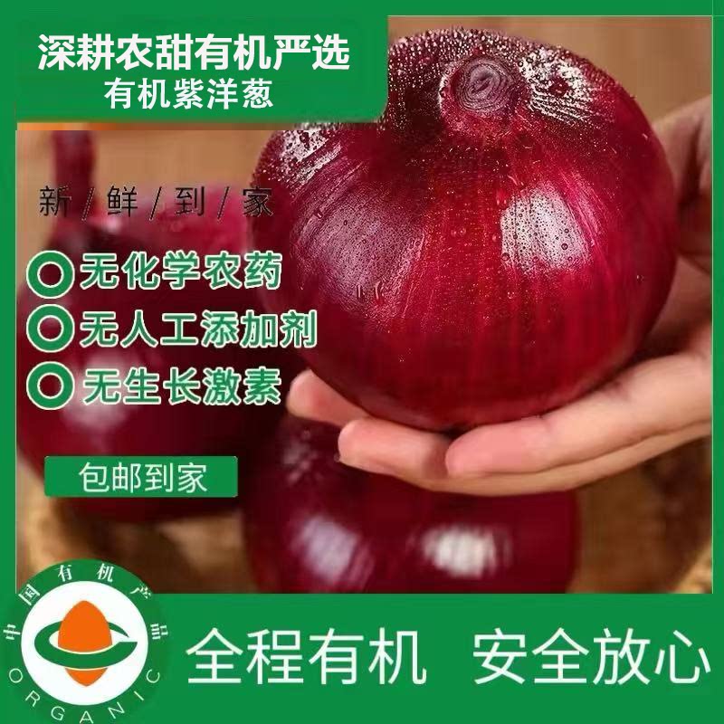 深耕农甜有机紫红洋葱无农药0添