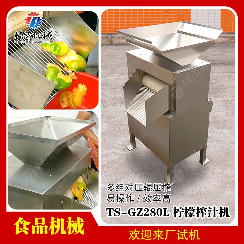 榨汁机 汁渣分离机 果蔬机 水果果酱机 柠檬榨汁机