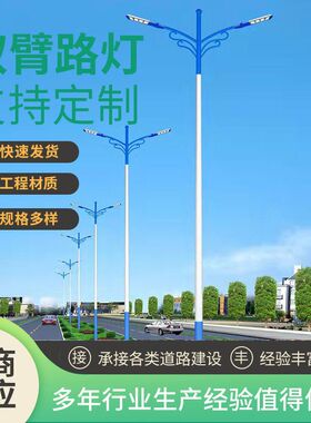 新款跨境户外6米10米农村led道路路灯白色单双臂180w大功率照明灯