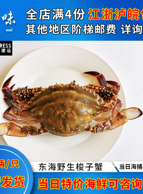 东海野生梭子蟹飞蟹螃蟹鲜活海蟹新鲜海鲜海捕白蟹活蟹5-8两/只