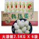 整箱6袋2.5kg清水去壳鹌鹑蛋麻辣烫火锅食材炸串新鲜餐饮商用剥壳