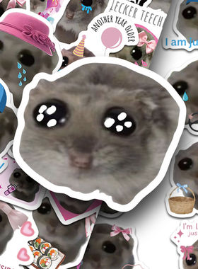 112张Sad Hamster Meme小仓鼠贴纸创意搞怪手账手机装饰防水贴画