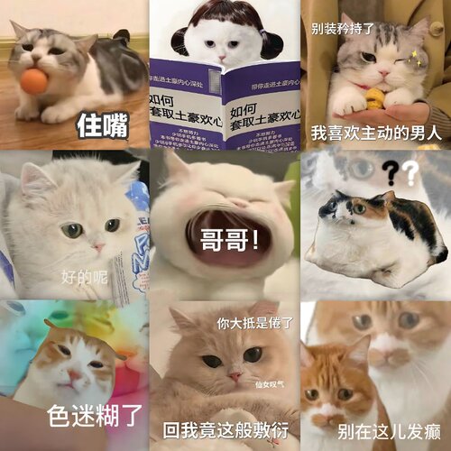 64贴纸可爱可爱猫咪贴纸