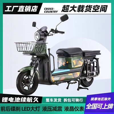 载重王电动车代步外卖骑手专用