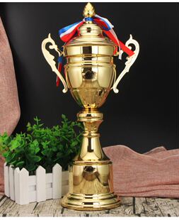 运动会奖杯个性定做高档金属奖杯 篮球足球比赛活动冠亚季军奖杯