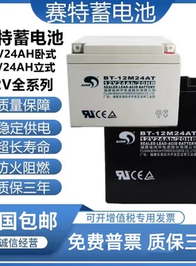 赛特BT-12M24AT蓄电池12V24AH38AH海湾GTS利达天成泰和安消防主机