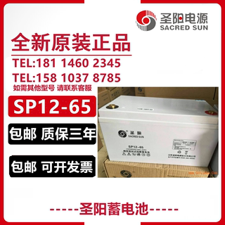 蓄电池12V65AH阀控式铅酸免维护SP12-65机房 直流屏UPS电源