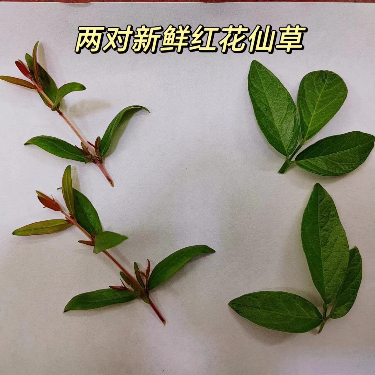 潮汕红花仙草十二色花出花园入宅成人礼12样花结婚嫁取鲜摘12样花